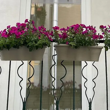 Grazioso Monolocale * Milaan